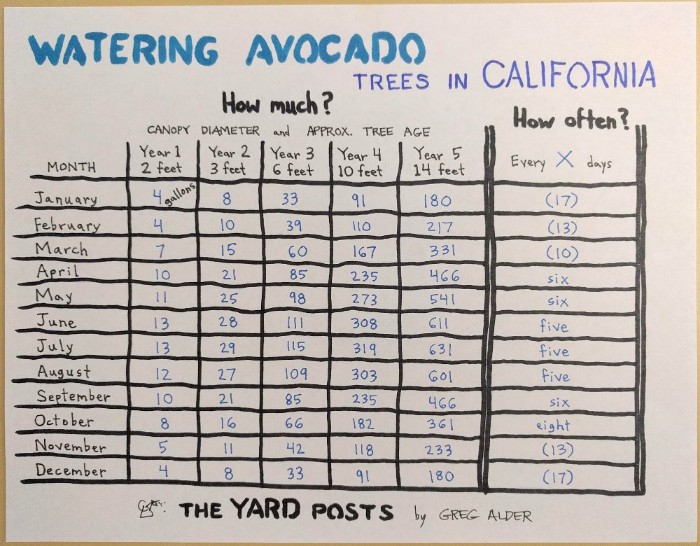 Avocado Cross Pollination Chart