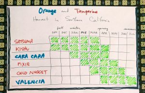 Tabla de cosecha de naranjas y mandarinas del sur de California