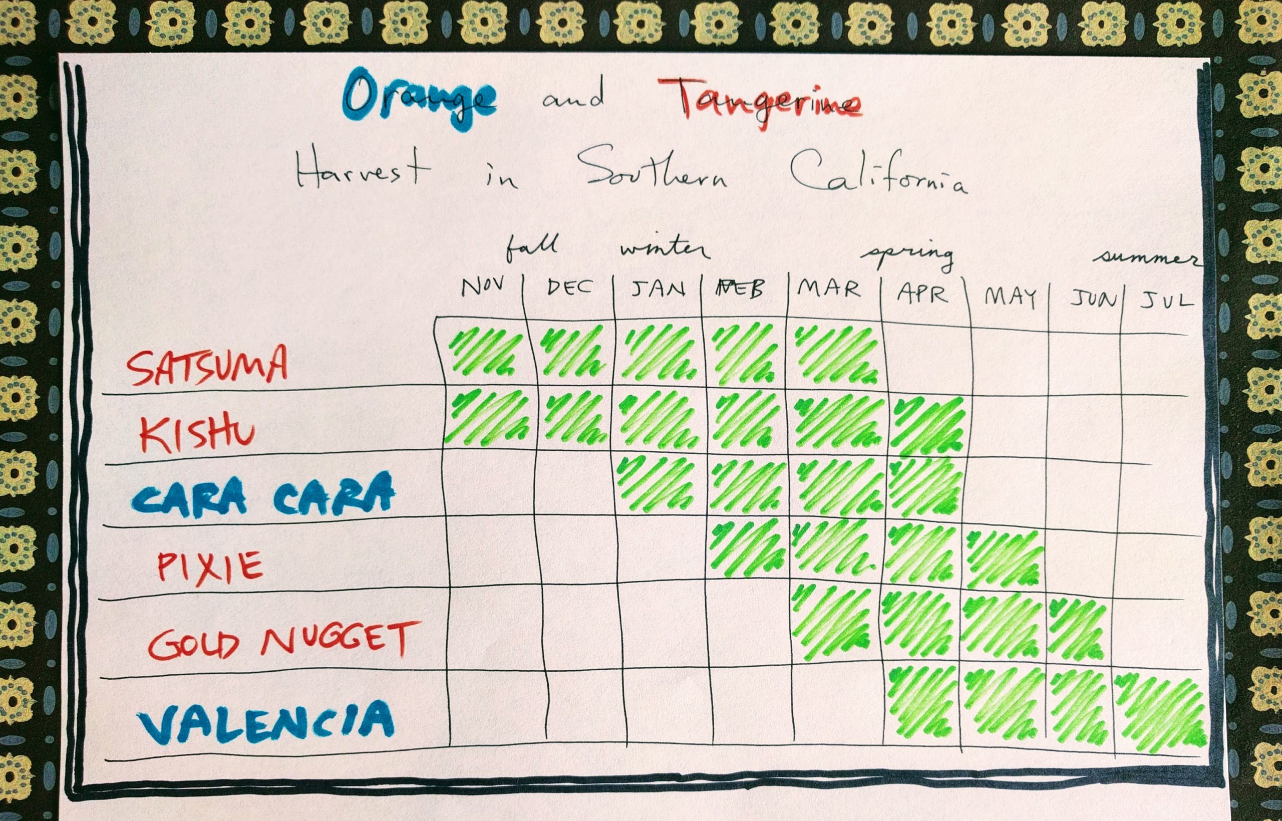 The Shiranui mandarin tree: a profile - Greg Alder's Yard Posts