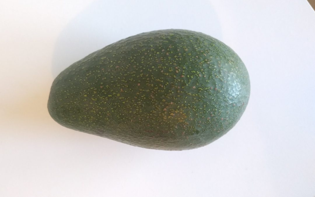 how-the-fuerte-avocado-really-got-its-name-greg-alder-s-yard-posts