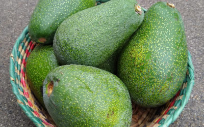 How the Fuerte avocado really got its name