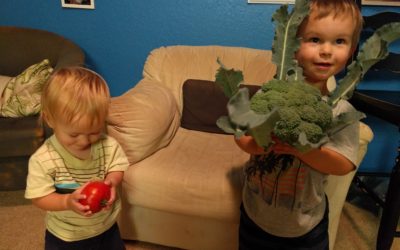 Harvesting tomatoes and broccoli at the same time?