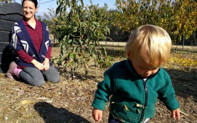 Miles and his placenta tree turn one, but one of them almost gets eaten by a gopher