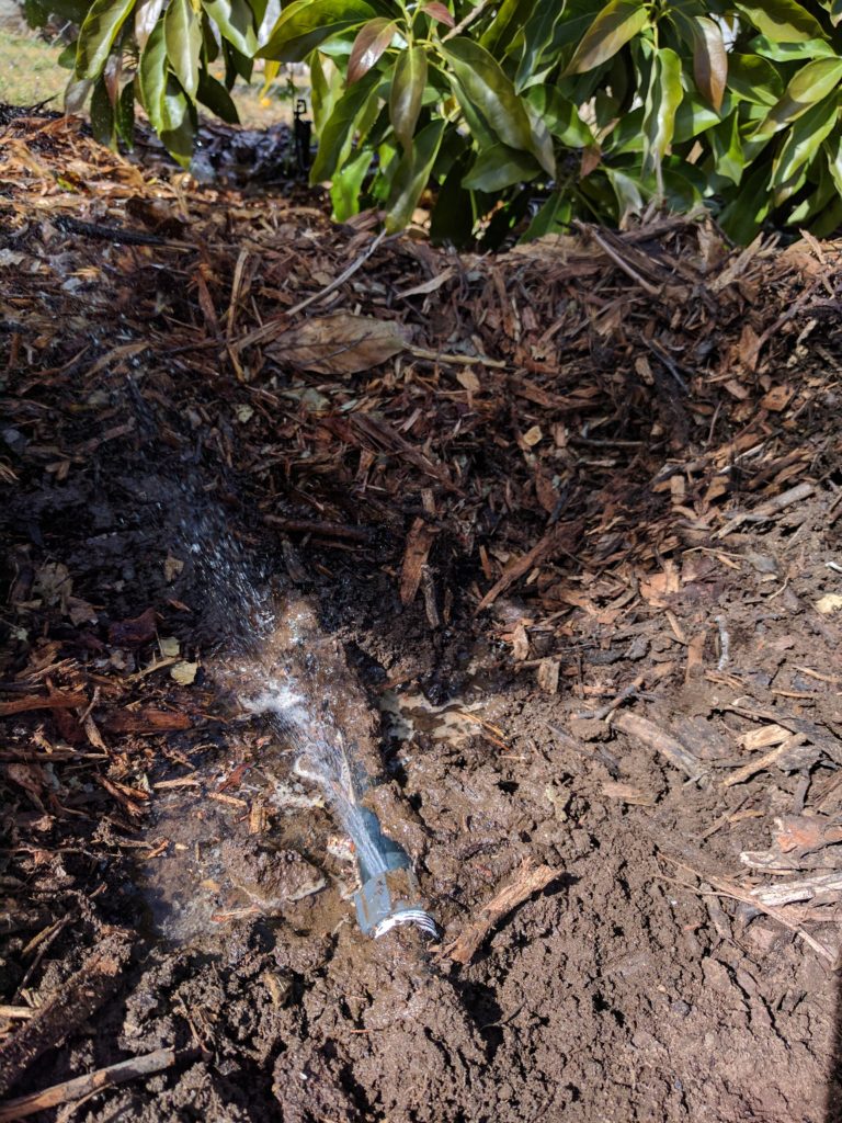 Irrigation leak