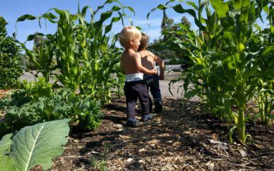 Gardening with kids