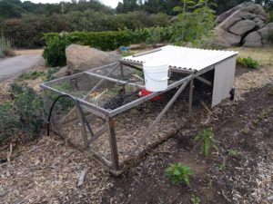 small mobile chicken pen