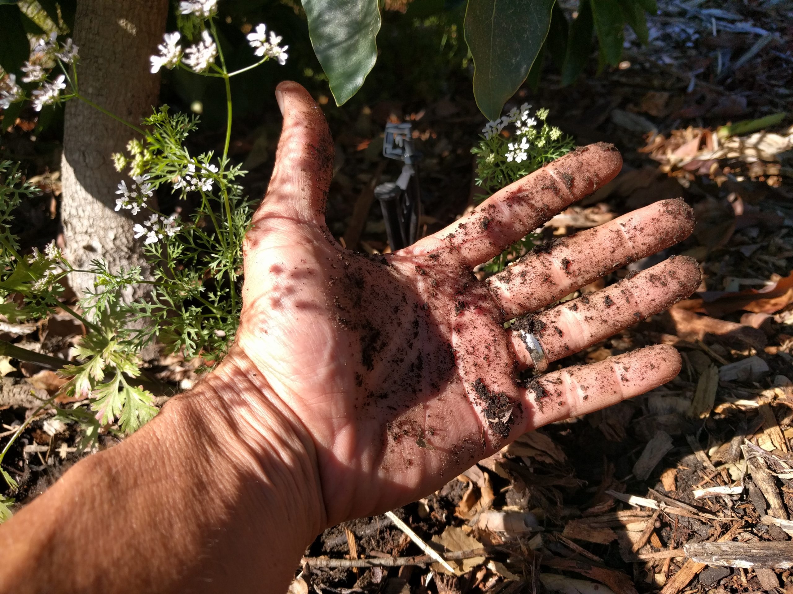 get-your-hands-dirty-discover-the-truth-about-your-irrigation