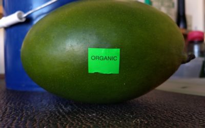 What is organic, actually?