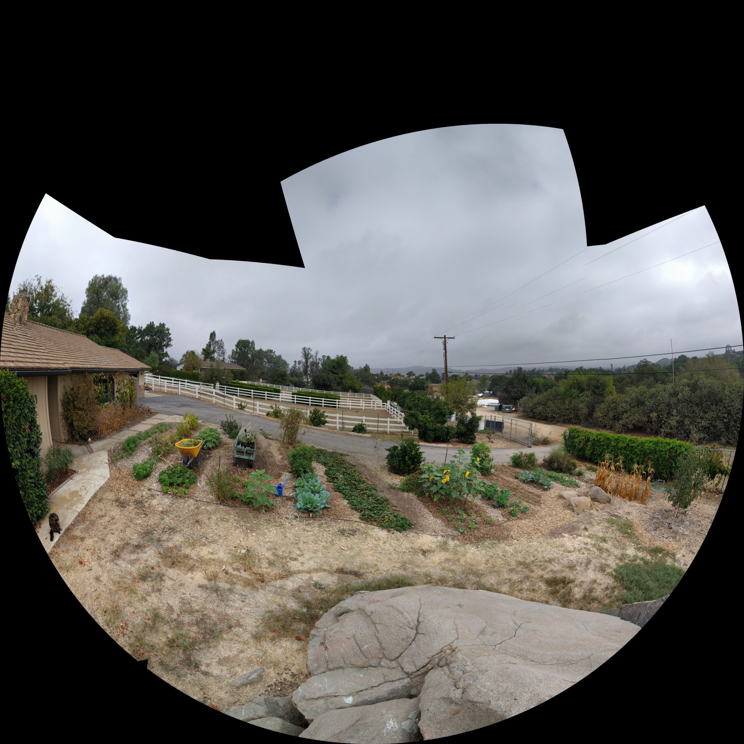 WHAT CAN I PLANT IN NOVEMBER IN SOUTHERN CALIFORNIA visual data 4