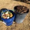 compost bucket and bucket with finished compost