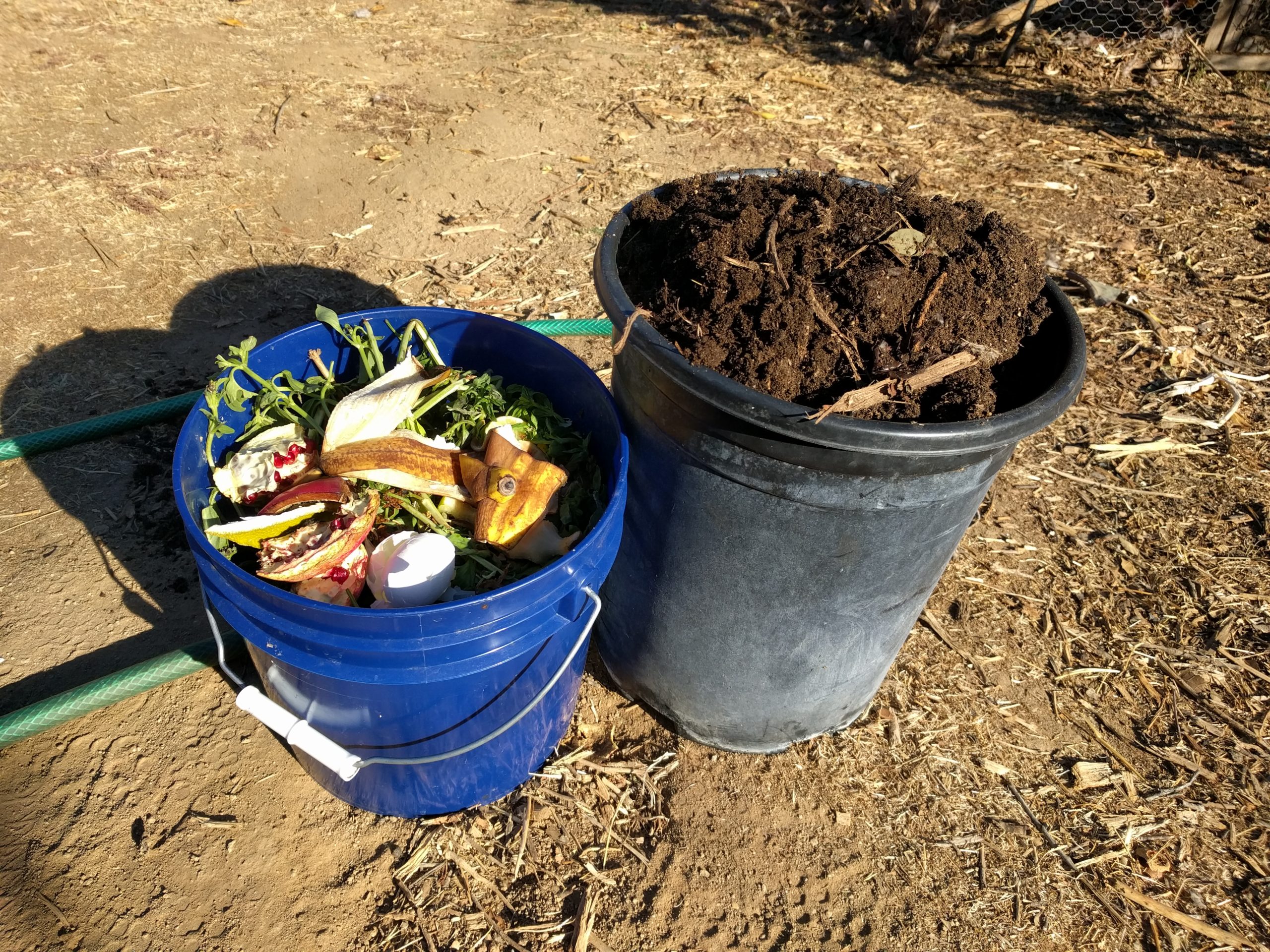 The Best Compost Bins (2019)