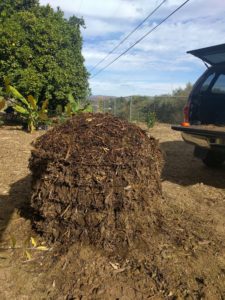 compost pile in wire tomato cage