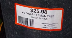 Meyer Lemon tree container label Home Depot grown by Durling Nursery