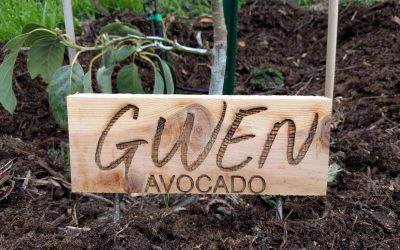 Custom signs for fruit trees