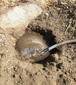 Testing soil drainage fill hole with water