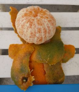costa rica mandarin fruit