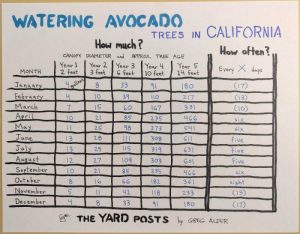 Watering avocado trees in California table showing how much and how often