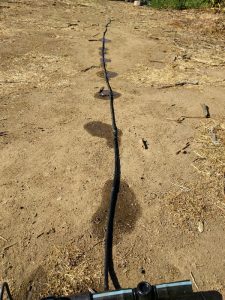 drip irrigation wetting soil surface