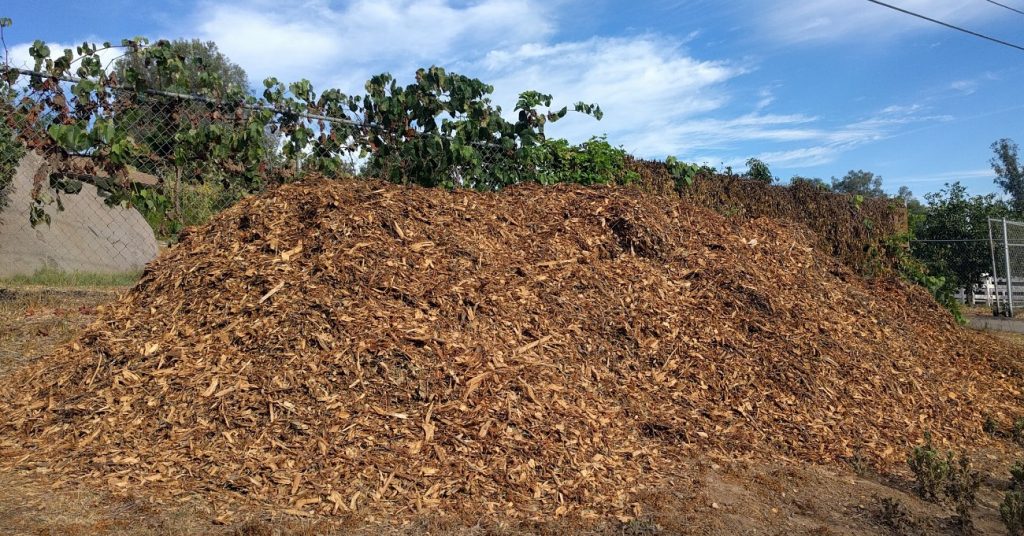 pile of wood chips dumped by tree trimmer Greg Alder's Yard Posts