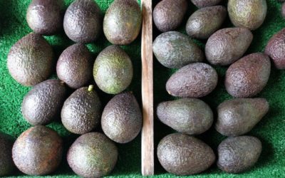 Where and how to buy good avocados