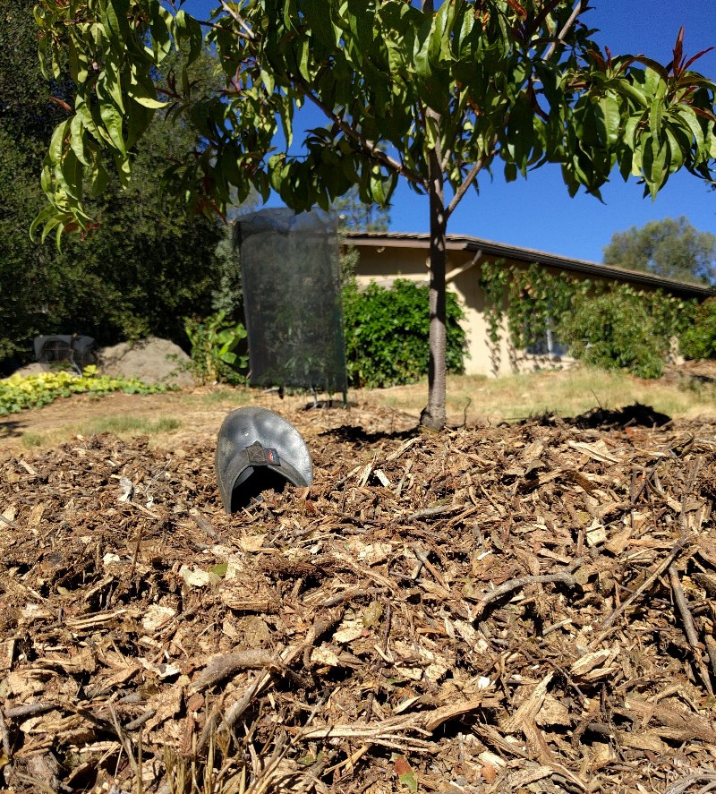 Wood Chip Mulch Myths