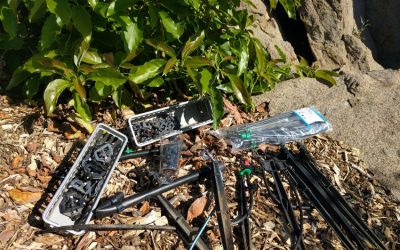 Setting up micro-sprinklers under fruit trees