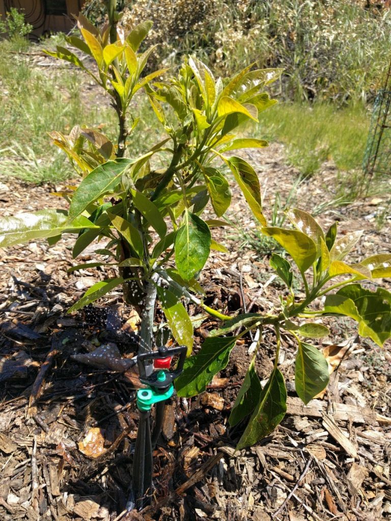 Guotai Haode 360 ° Ground Insertion Rotary Micro Spray Fruit Tree