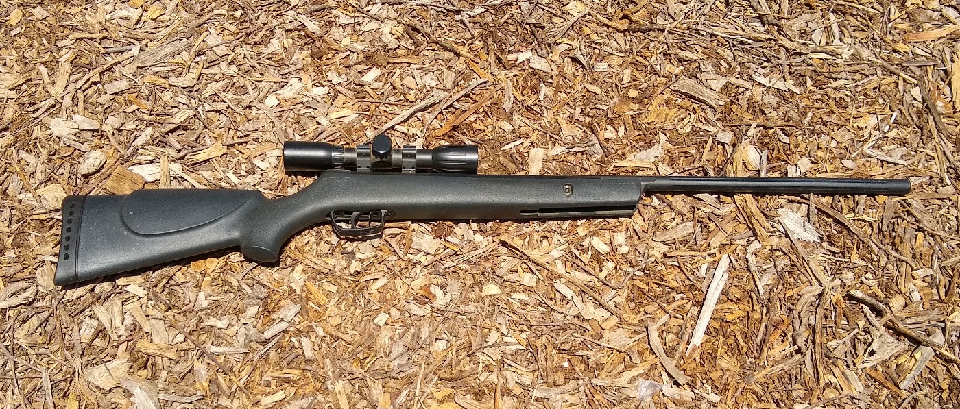 Dealing with squirrels in a food garden Greg Alder's Yard Posts