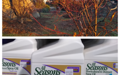 Dormant spray deciduous fruit trees?