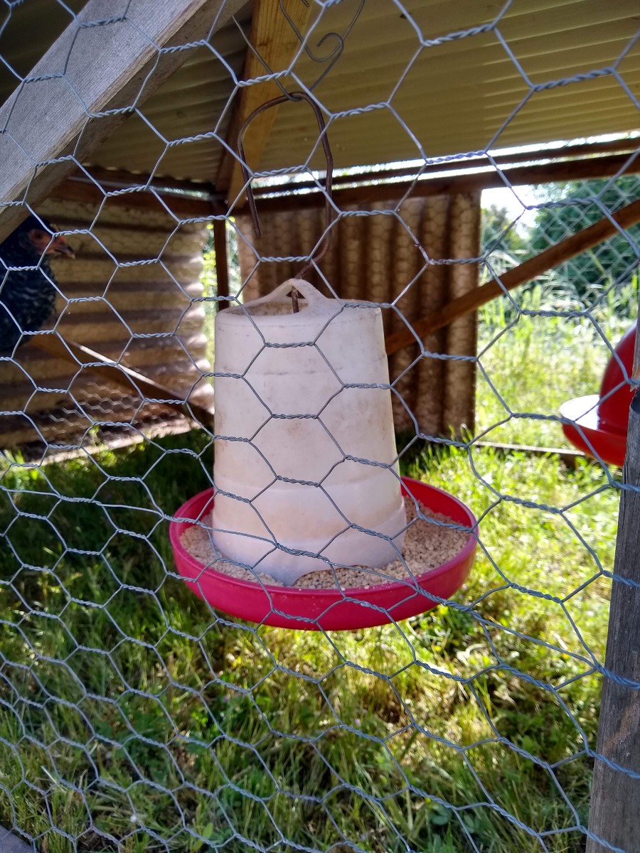 oneinchpoultrywire Greg Alder's Yard Posts Food Gardening in