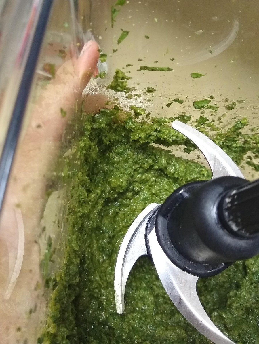 pestoinblender Greg Alder's Yard Posts Food Gardening in Southern