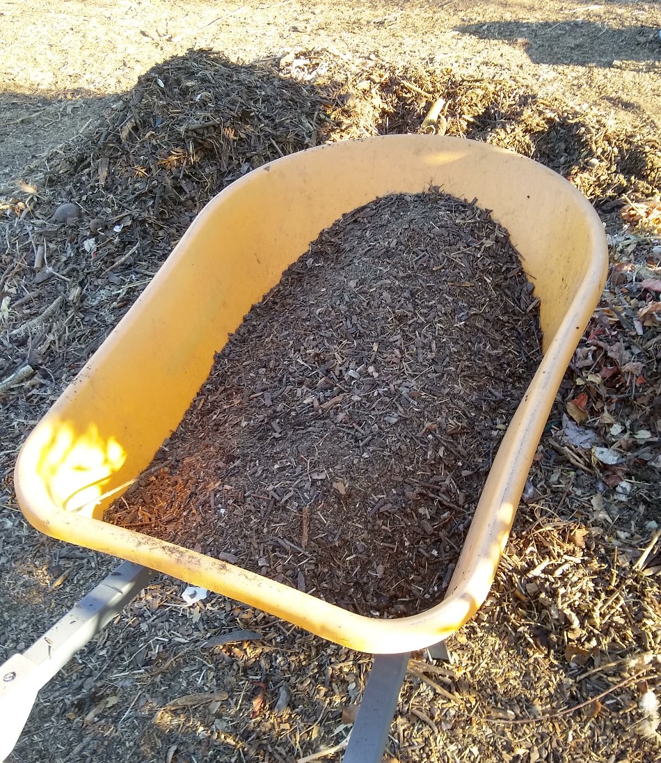 wheelbarrow-full-of-compost - Greg Alder's Yard Posts: Food Gardening ...