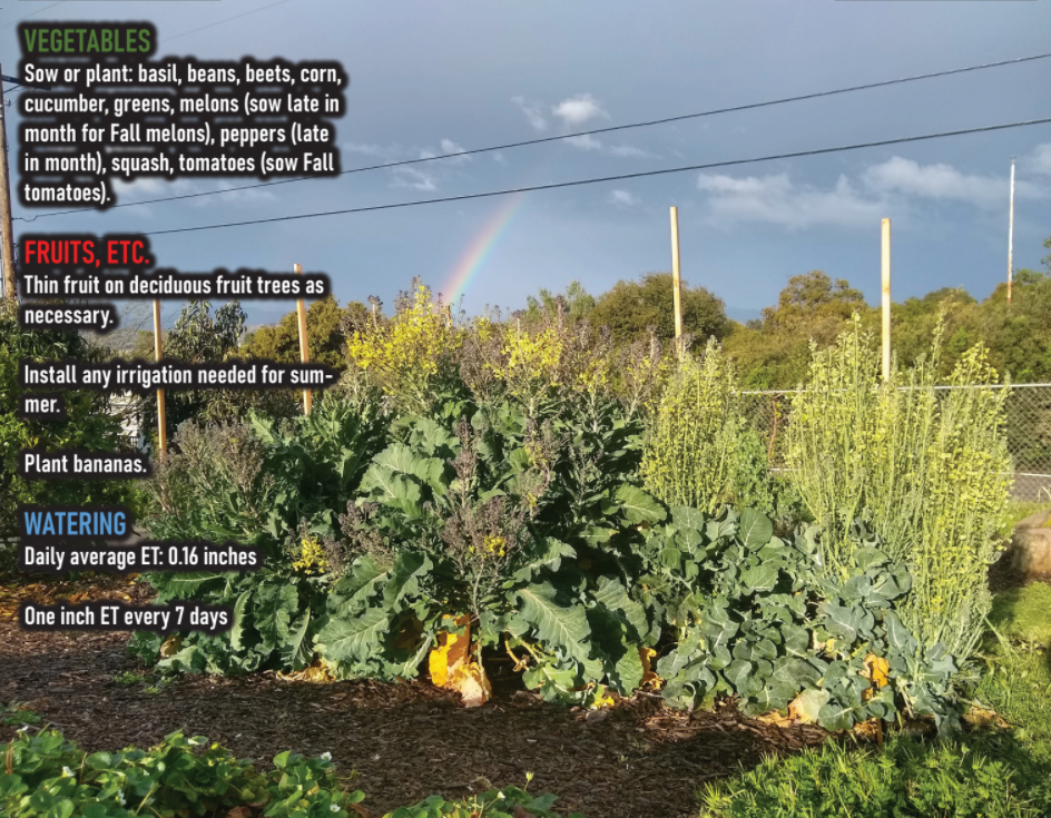 Southern California food gardening calendar for 2021 Greg Alder's