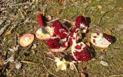 How I open a pomegranate