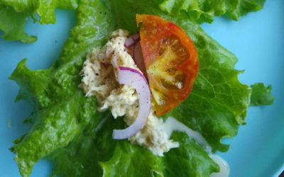 Growing summer lettuce in Southern California