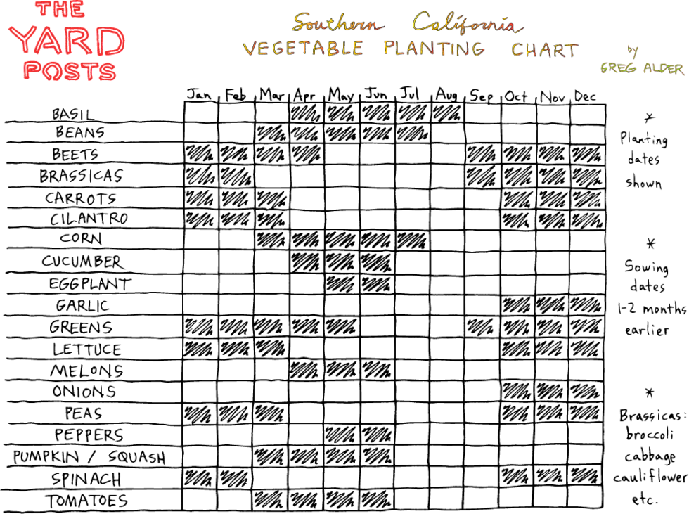 Vegetable planting chart for Southern California Greg Alder's Yard