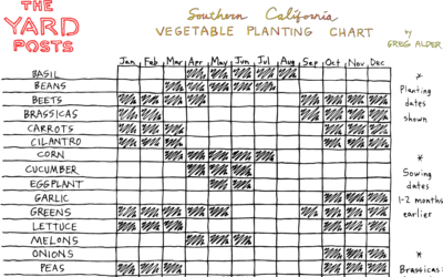 Vegetable planting chart for Southern California