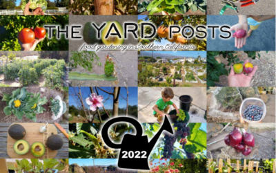 The Yard Posts food gardening calendar 2022