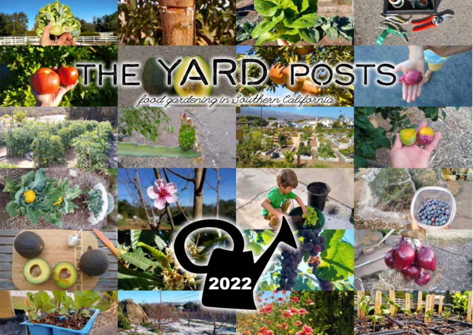 The Yard Posts food gardening calendar 2022