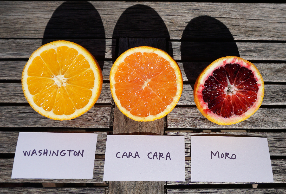 What Exactly Are Cara Cara Oranges?