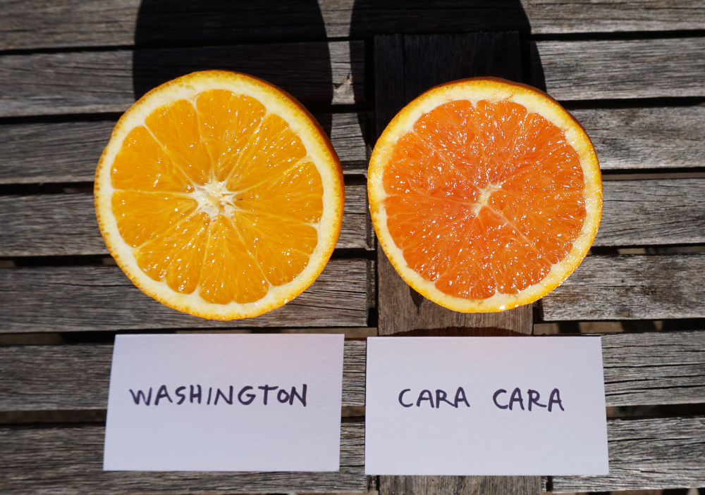 What Exactly Are Cara Cara Oranges?