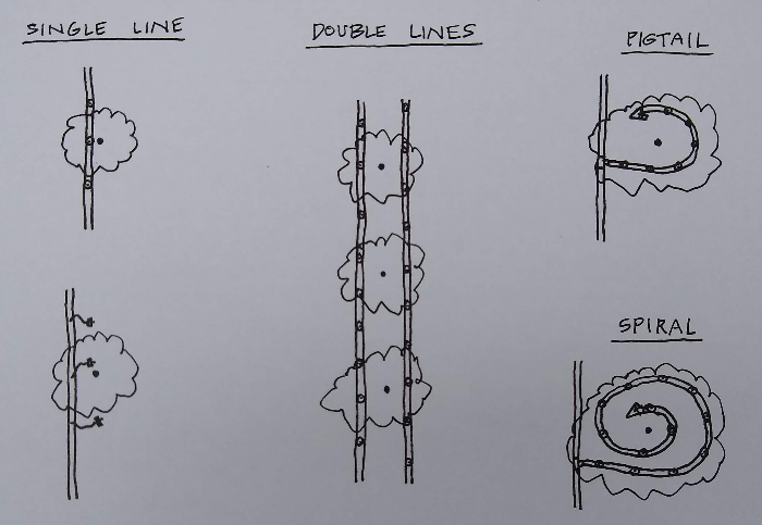 layouts of drip irrigation for fruit trees