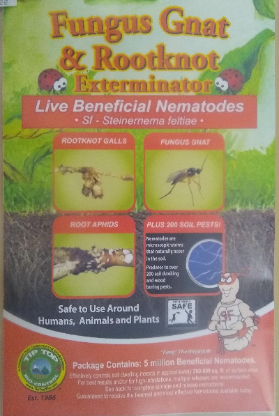 Preventing Pests With Beneficial Nematodes! 