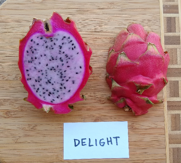 11 of The Best Dragon Fruit (Pitaya) Cultivars