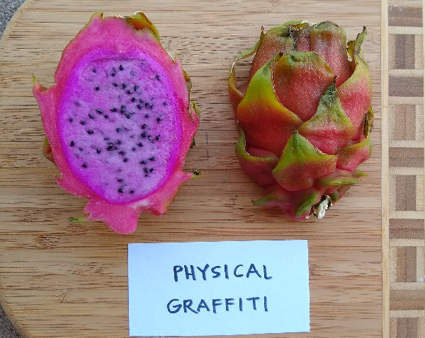 When is dragon fruit season? - Best time!