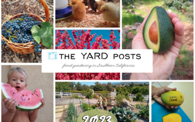 The Yard Posts food gardening calendar 2023