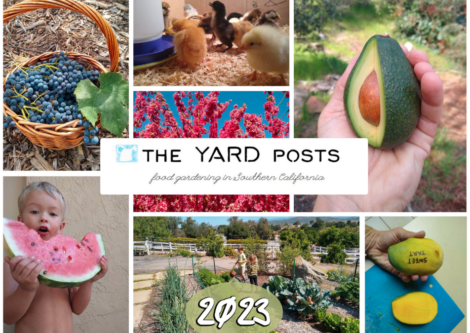 The Yard Posts food gardening calendar 2023