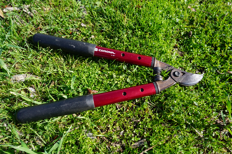 Garden Tools which Prune Tree Limbs Safely