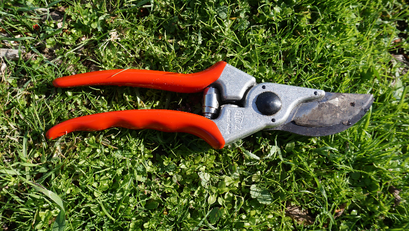 Garden Tools which Prune Tree Limbs Safely