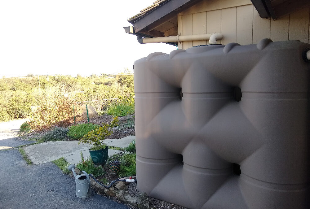 Rain Tank to driplines: a cheap and effective system